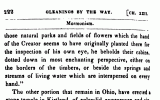 Gleanings By The Way Page 222