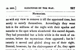 Gleanings By The Way 227